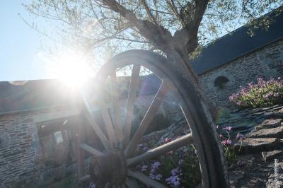 Roue de charrette