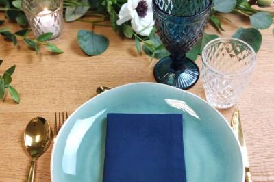 Serviette de table Bleu Navy